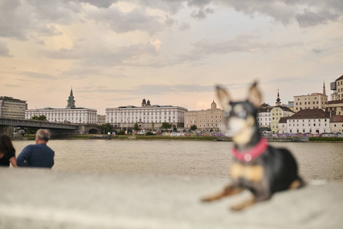 Bild: quiz/1742727781_ausblicklinz1-linztourismus-martinstoebich.jpg