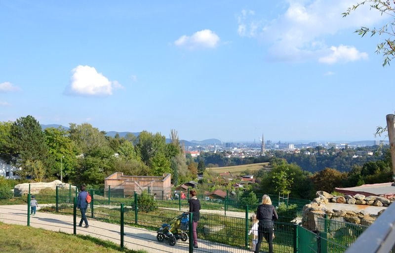 Bild: quiz/tiergarten-linz9-linztourismus-t.-kiteko-2016.jpg