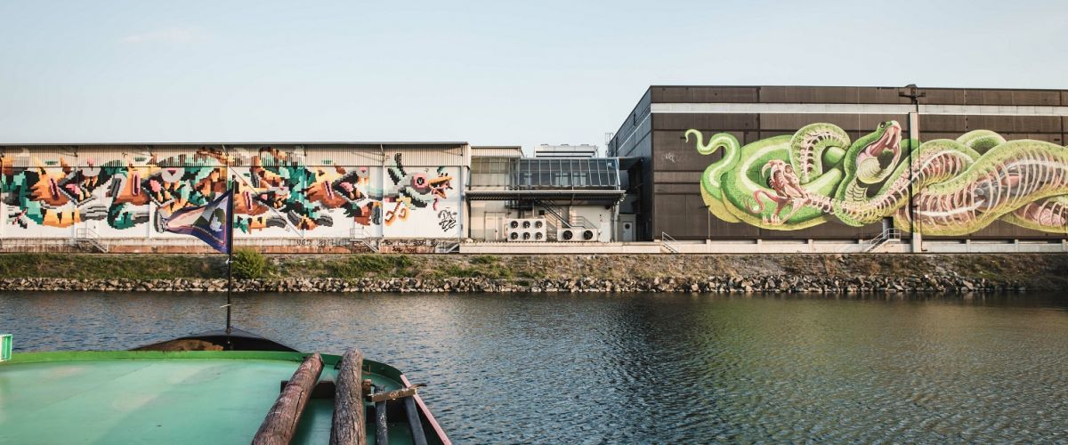 Bild: information/sommertage-35-linz-tourismus-romeo-felsenreich.jpg